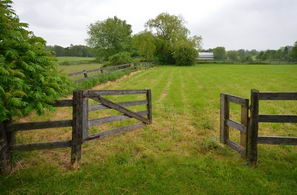 Paddocks - Country homes for sale and luxury real estate including horse farms and property in the Caledon and King City areas near Toronto